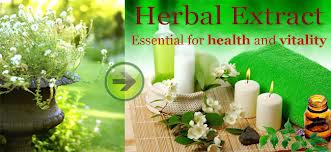 Herbal Extracts Manufacturer Supplier Wholesale Exporter Importer Buyer Trader Retailer in Poona  India